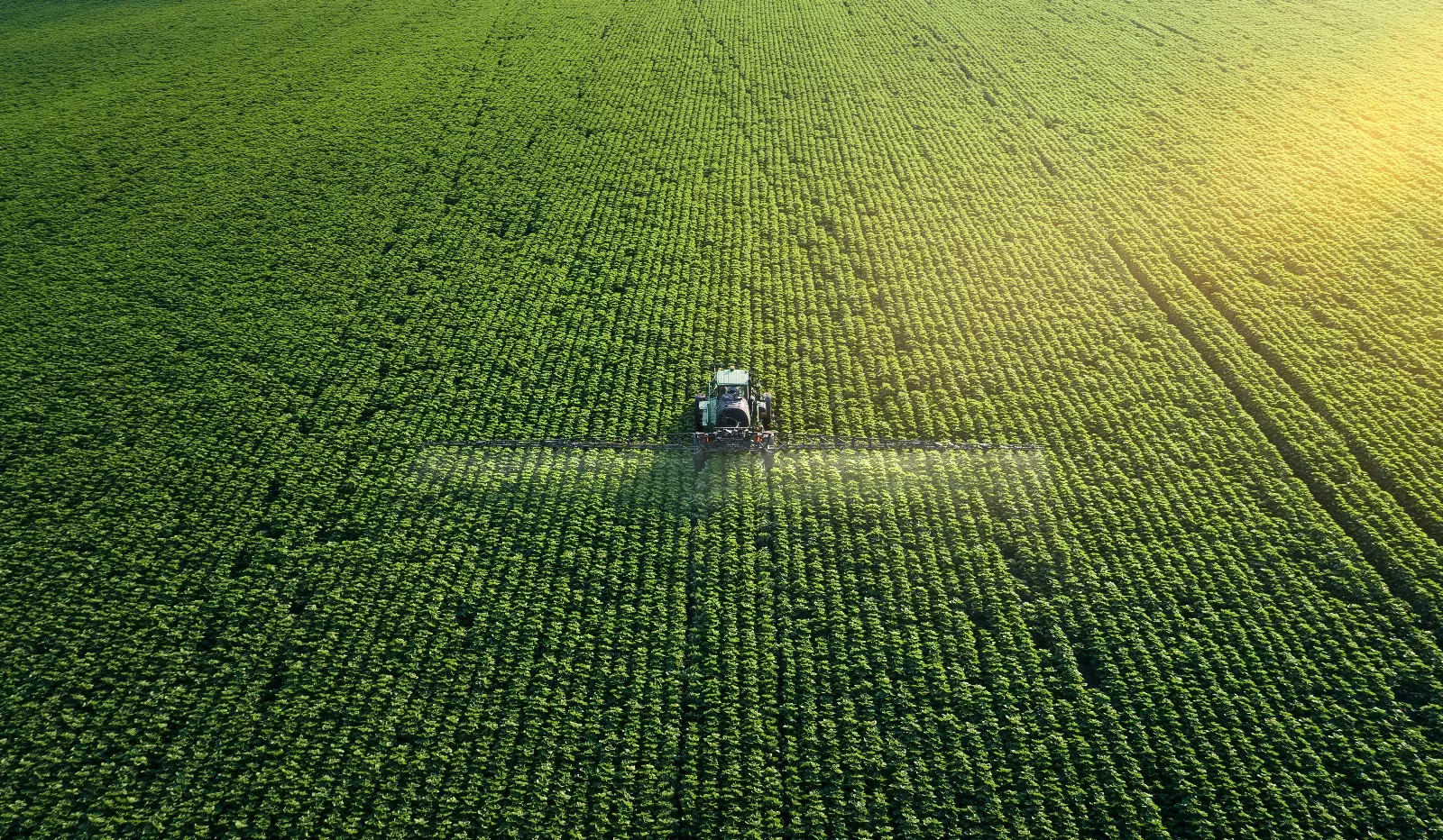 Crop Health Assessment