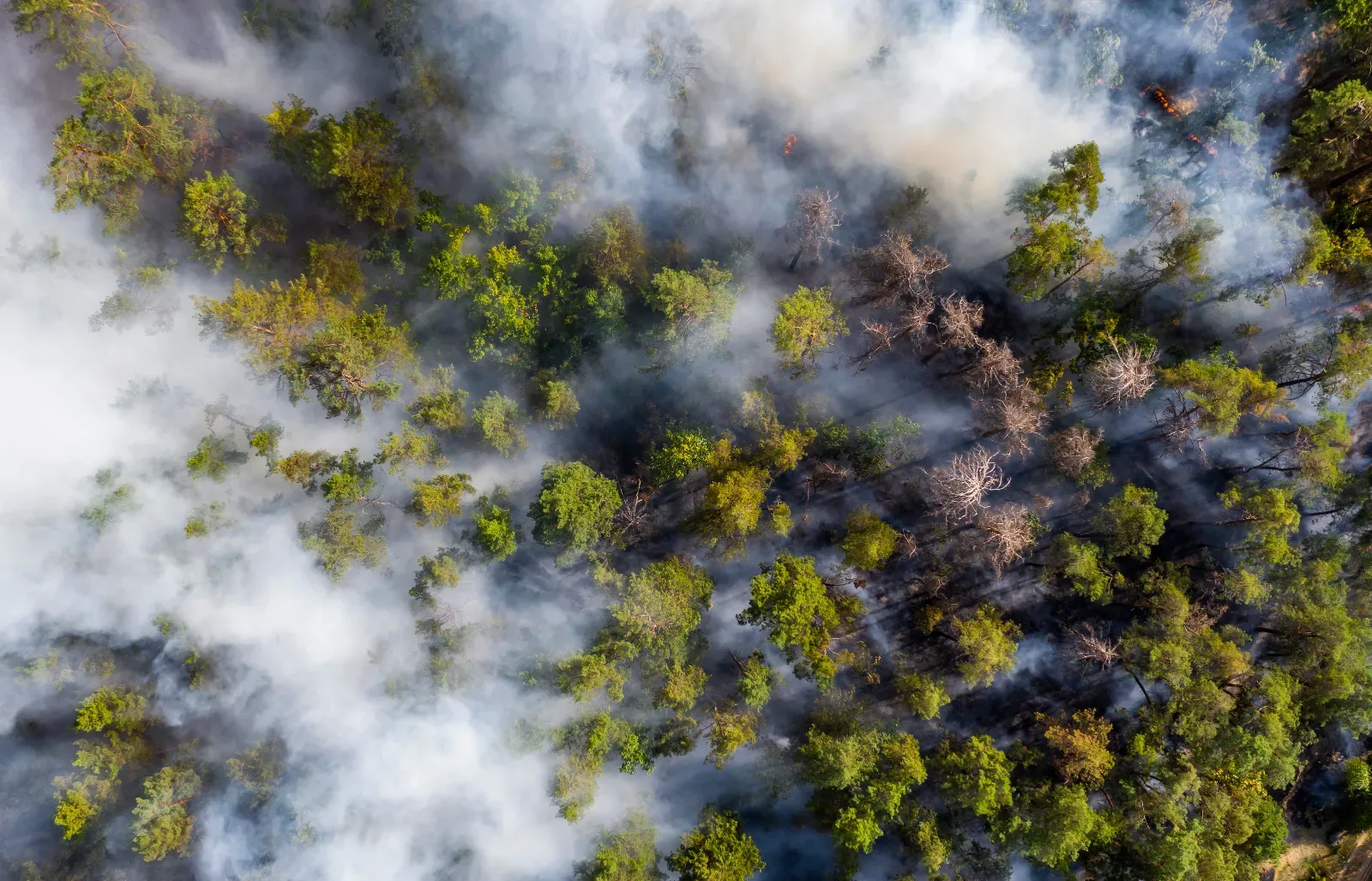 Identification of flames in wildfire through smokes
